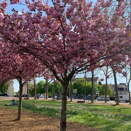 Le Petit Dijonnais *