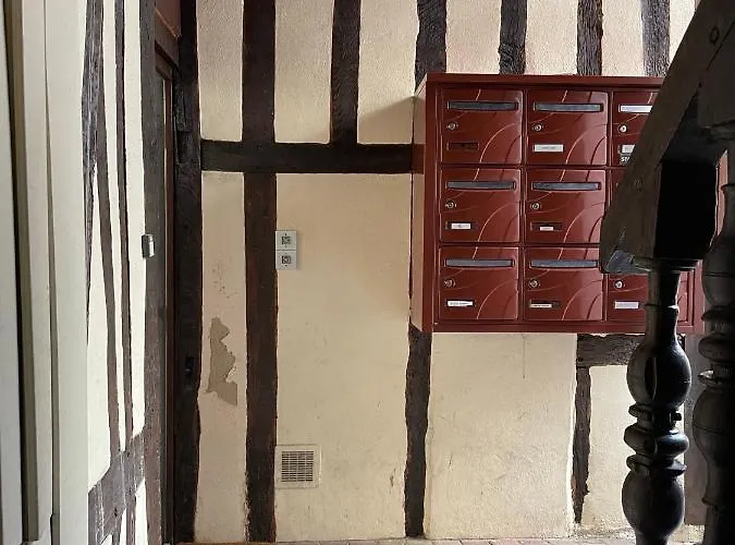 Le Petit Dijonnais Apartment *