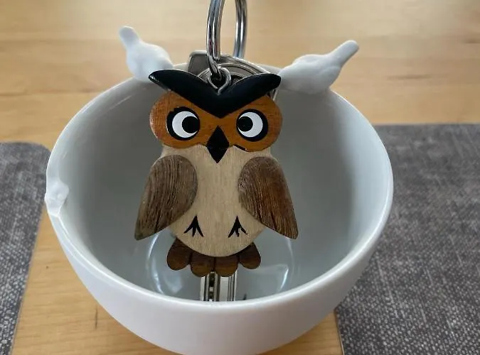 Le Petit Dijonnais Apartment Dijon