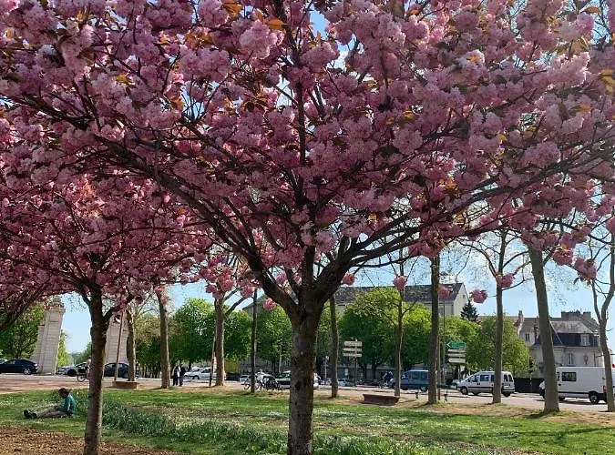 Le Petit Dijonnais *