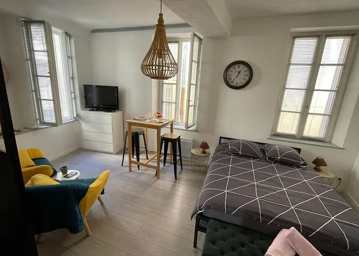 Le Petit Dijonnais Apartment